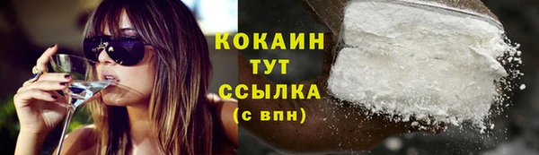 мдпв Семилуки
