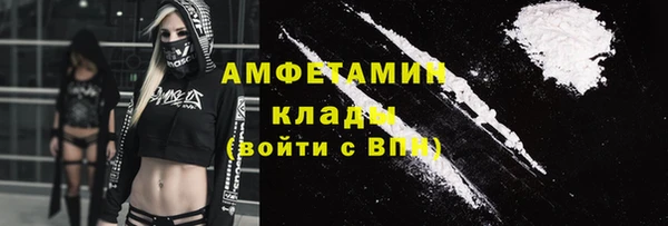 мдпв Инта