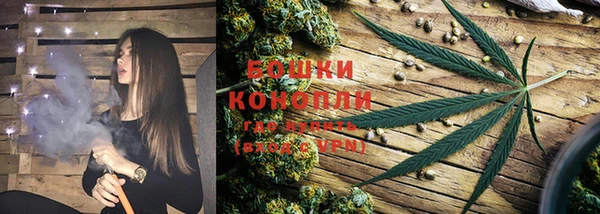 спиды Иннополис