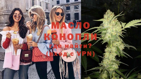 мдпв Инта