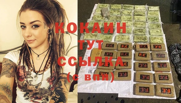 мдпв Инта