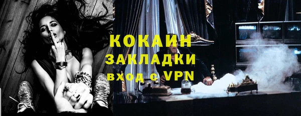 мдпв Инта