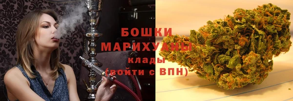 спиды Иннополис