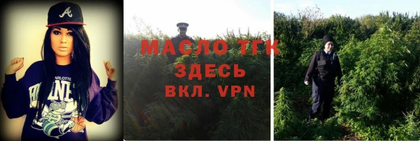 мдпв Инта