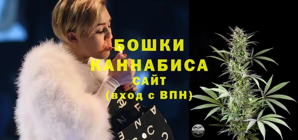 спиды Иннополис